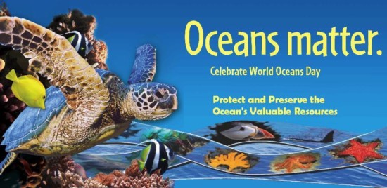 Oceans-Matter-Celebrate-World-Oceans-Day-Protect-And-Preserve-The-Oceans-Valuable-Resources