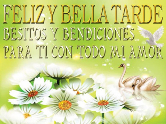 Frases De Buenas Tardes Im Genes Lindas Con Movimiento Y Brillo