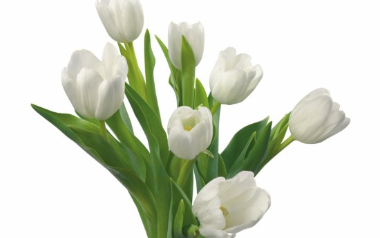 flores-blancas-para-boda-8917