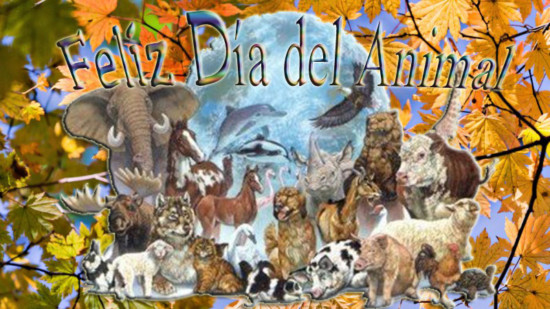 animalfrases-para-el-dia-del-animal-dia-del-animal-argentina