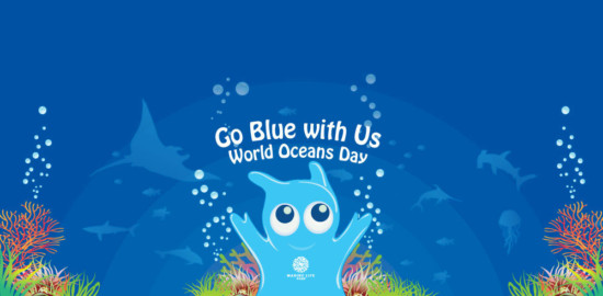 world-oceans-day