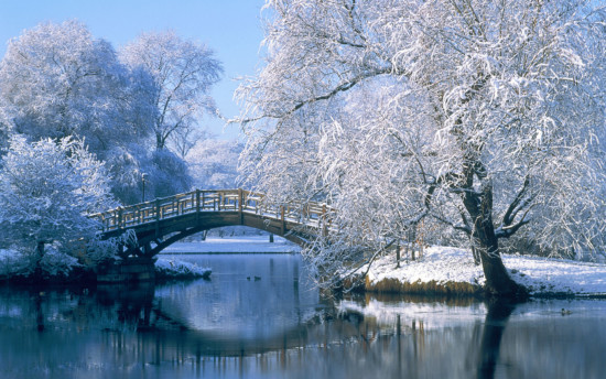 Bridge over a pond in the winter, Johannapark, Leipzig, Germany