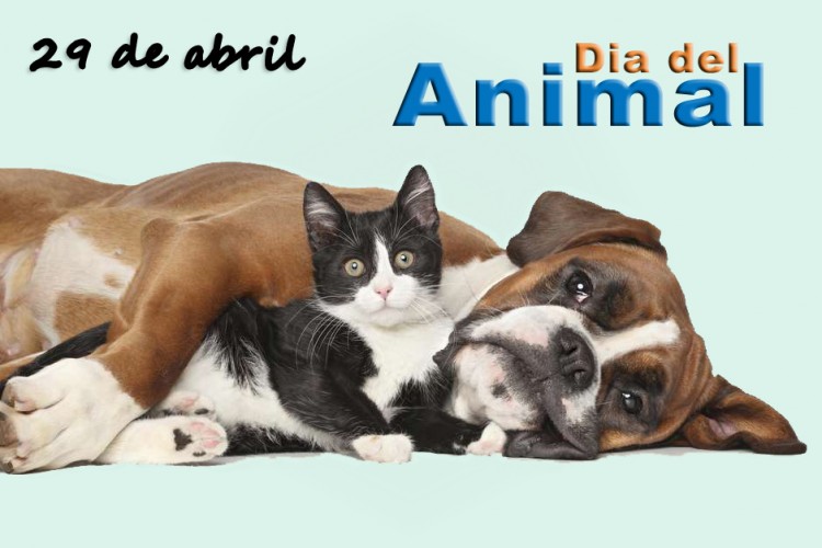 DIA DEL ANIMAL 2022 Imágenesy mensajes