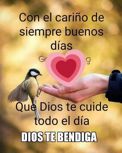 Buen Dia Frases Imágenes ‿ Alegres