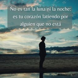 Frases nuevas sobre la luna y la noche